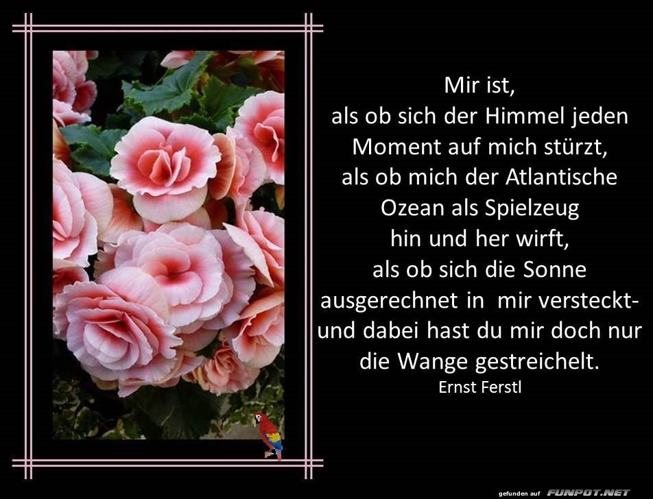 schne Sprche zur Liebe und Partnerschaft