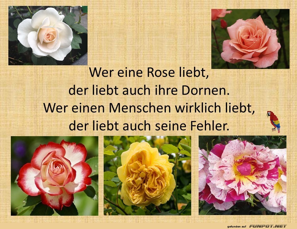 schne Sprche zur Liebe und Partnerschaft