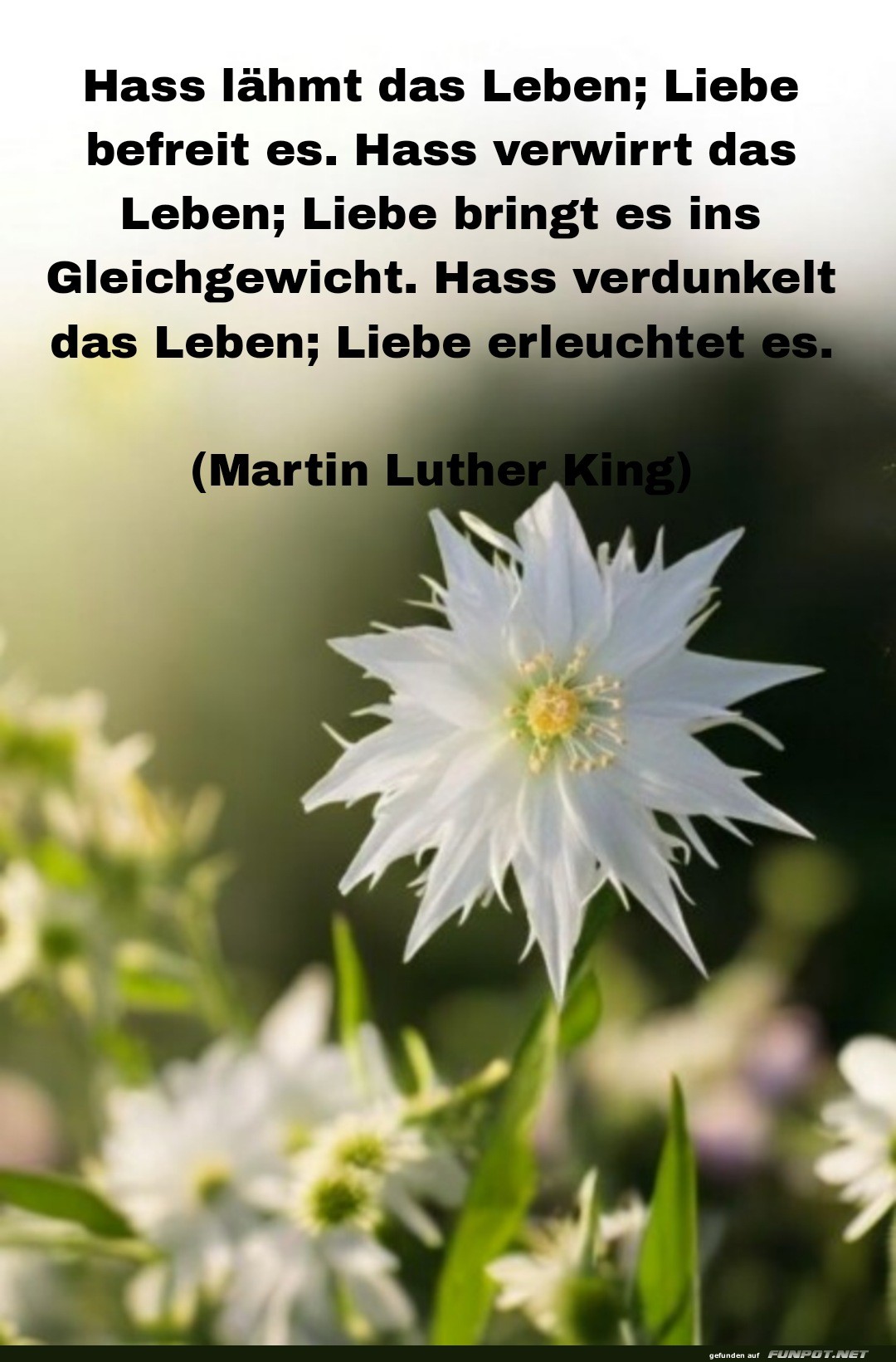 schne Sprche zur Liebe und Partnerschaft