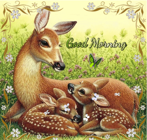 Good-Morning Good-Morning