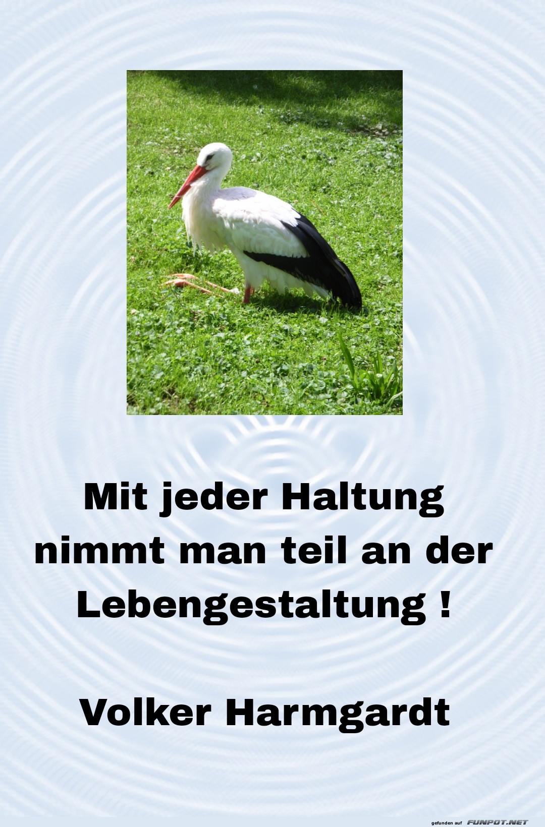 10 schne Sprche und Lebensweisheiten aus...