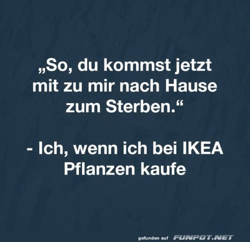 klasse Sprche und Witze!