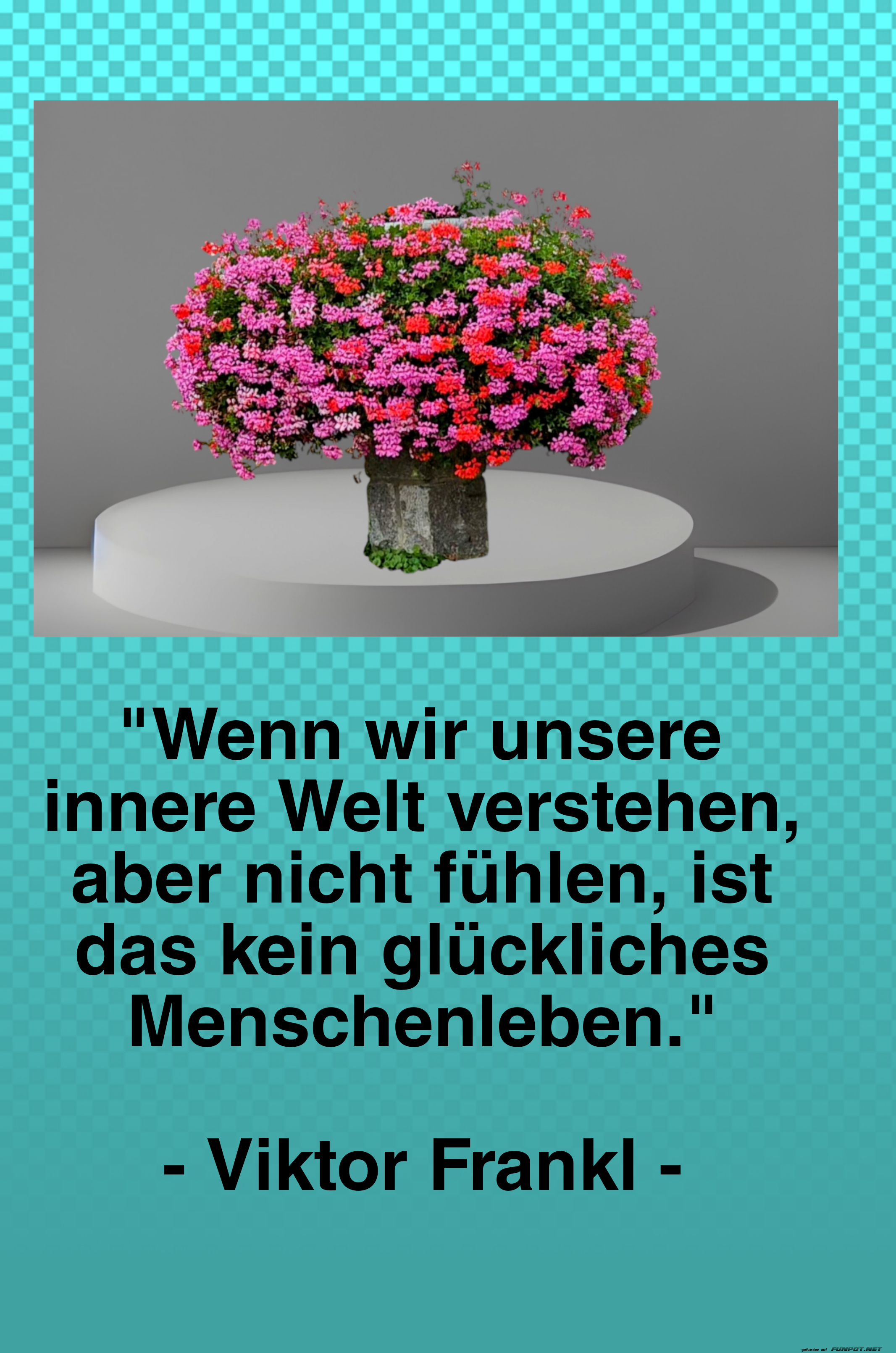 10 schne Sprche und Lebensweisheiten aus...