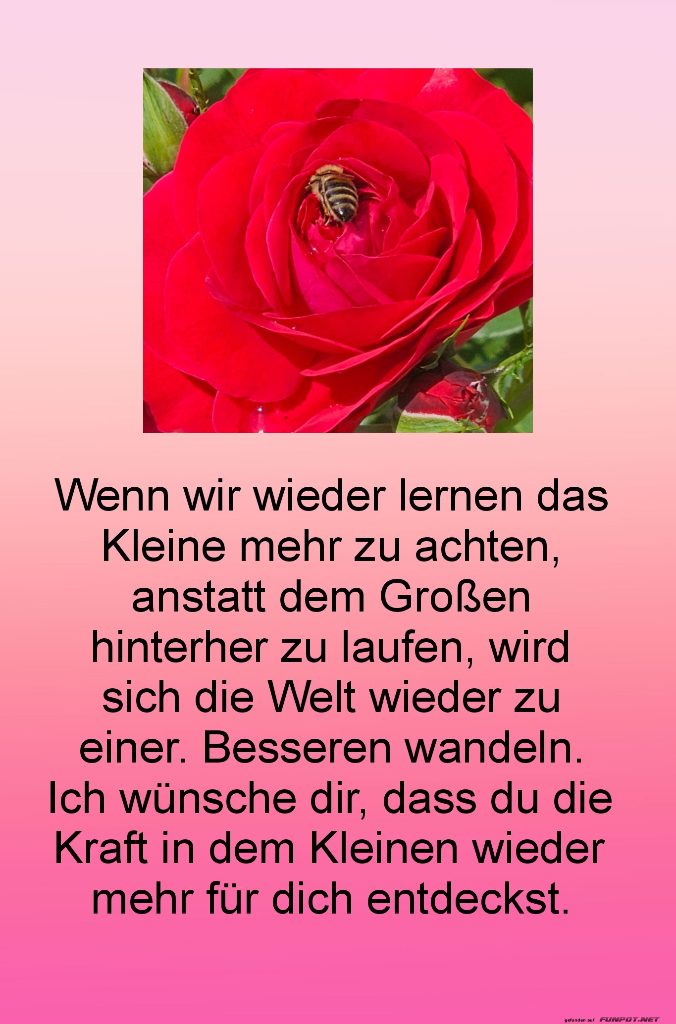 10 schne Sprche und Lebensweisheiten aus...