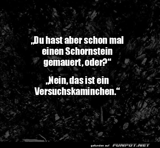 Lustiger Dialog über den Schornsteinbau Lustiger Dialog über den Schornsteinbau