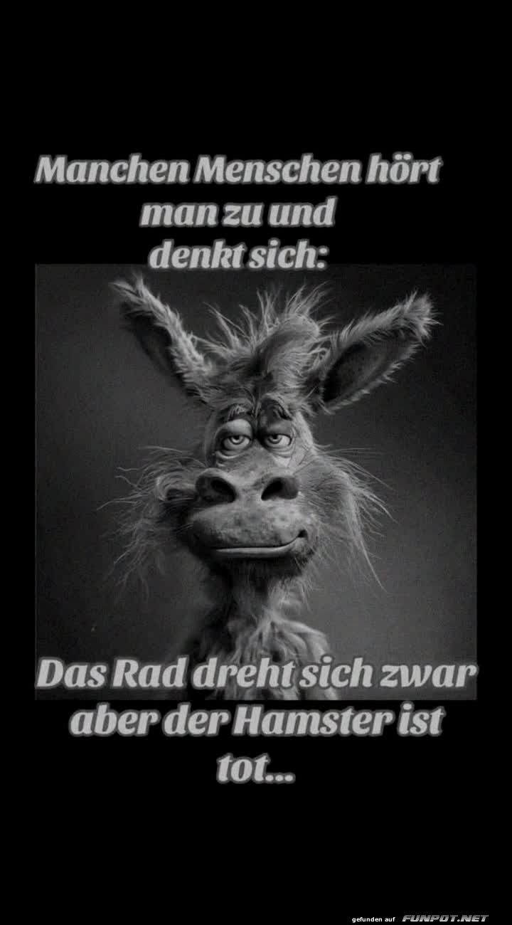 Da ist was dran