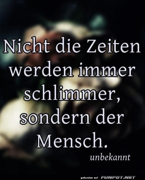 Nachdenkliches Zitat über die Menschheit Nachdenkliches Zitat über die Menschheit