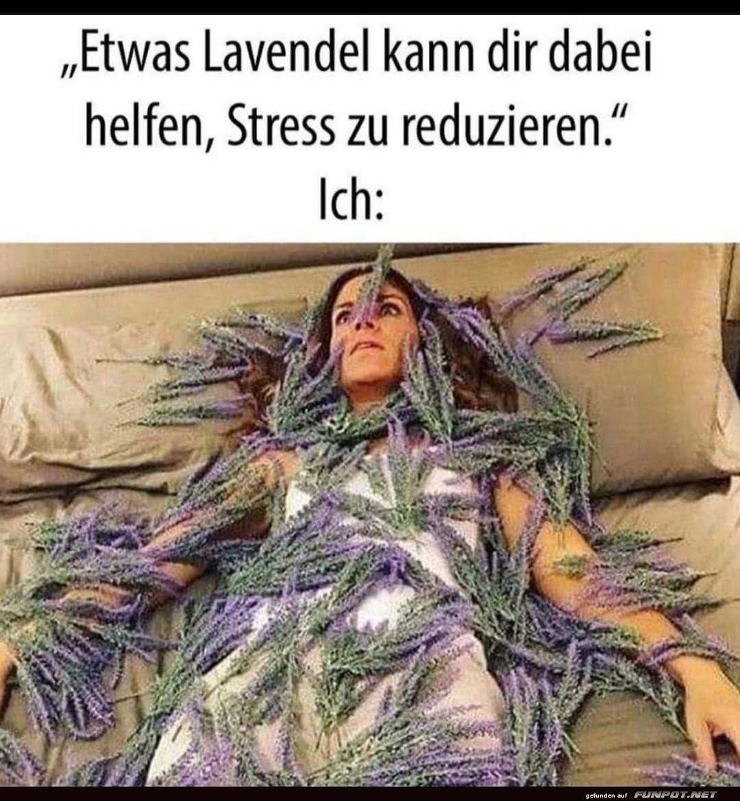 Ein Lavendelbad fr weniger Stress