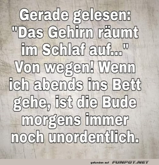 Humor über nächtliches Aufräumen Humor über nächtliches Aufräumen