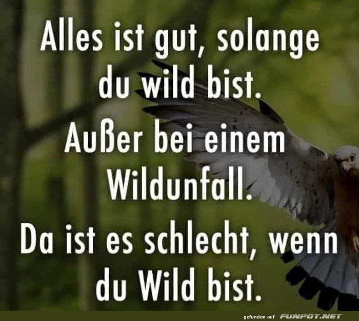 Ein humorvoller Spruch ber Wildunflle