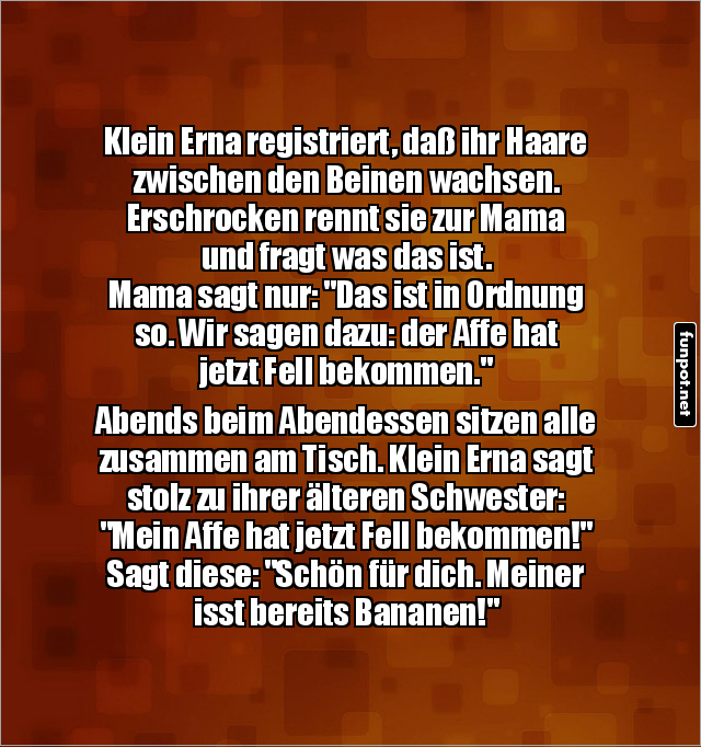 Klein Erna und der Affe