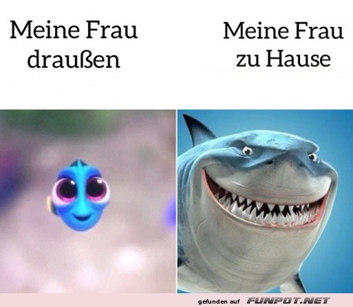 Lustiger Vergleich meiner Frau drinnen und drauen