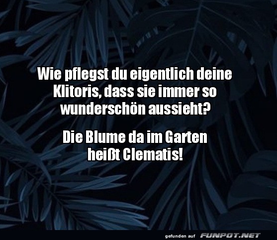 Lustiger Dialog über Gartenpflege Lustiger Dialog über Gartenpflege