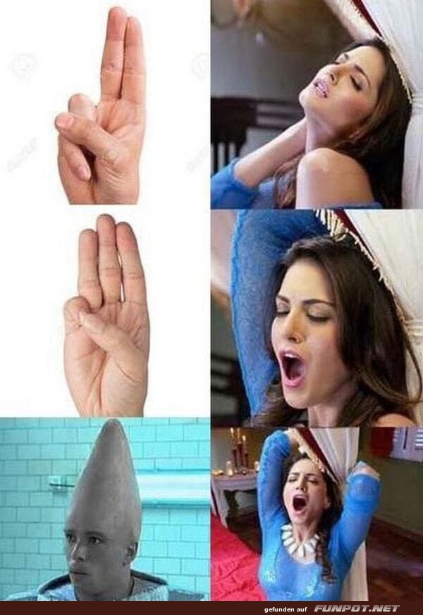 Humorvolle Bildserie mit verschiedenen Gesten