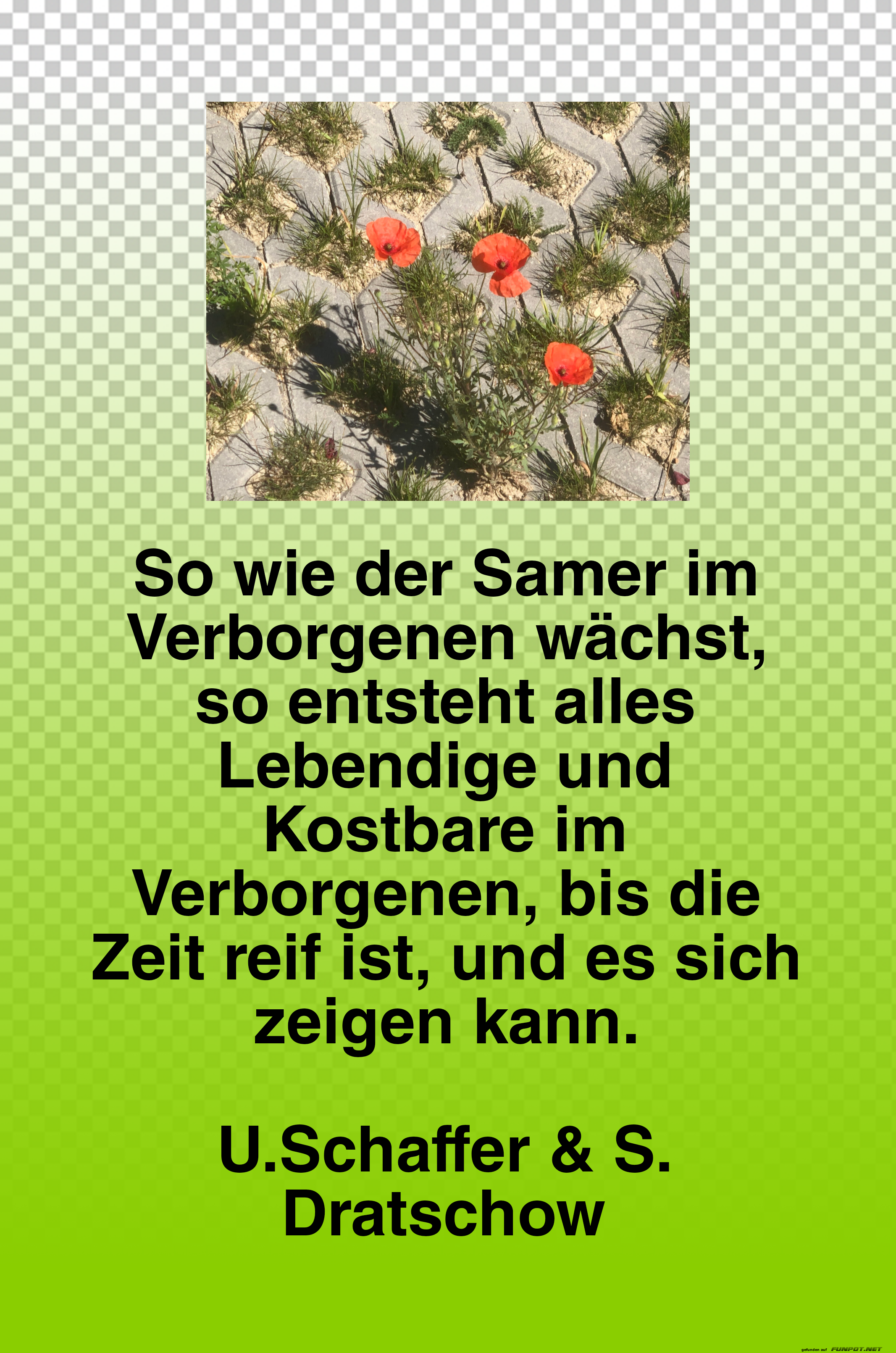 Verborgenes Wachstum im Bild und Zitat
