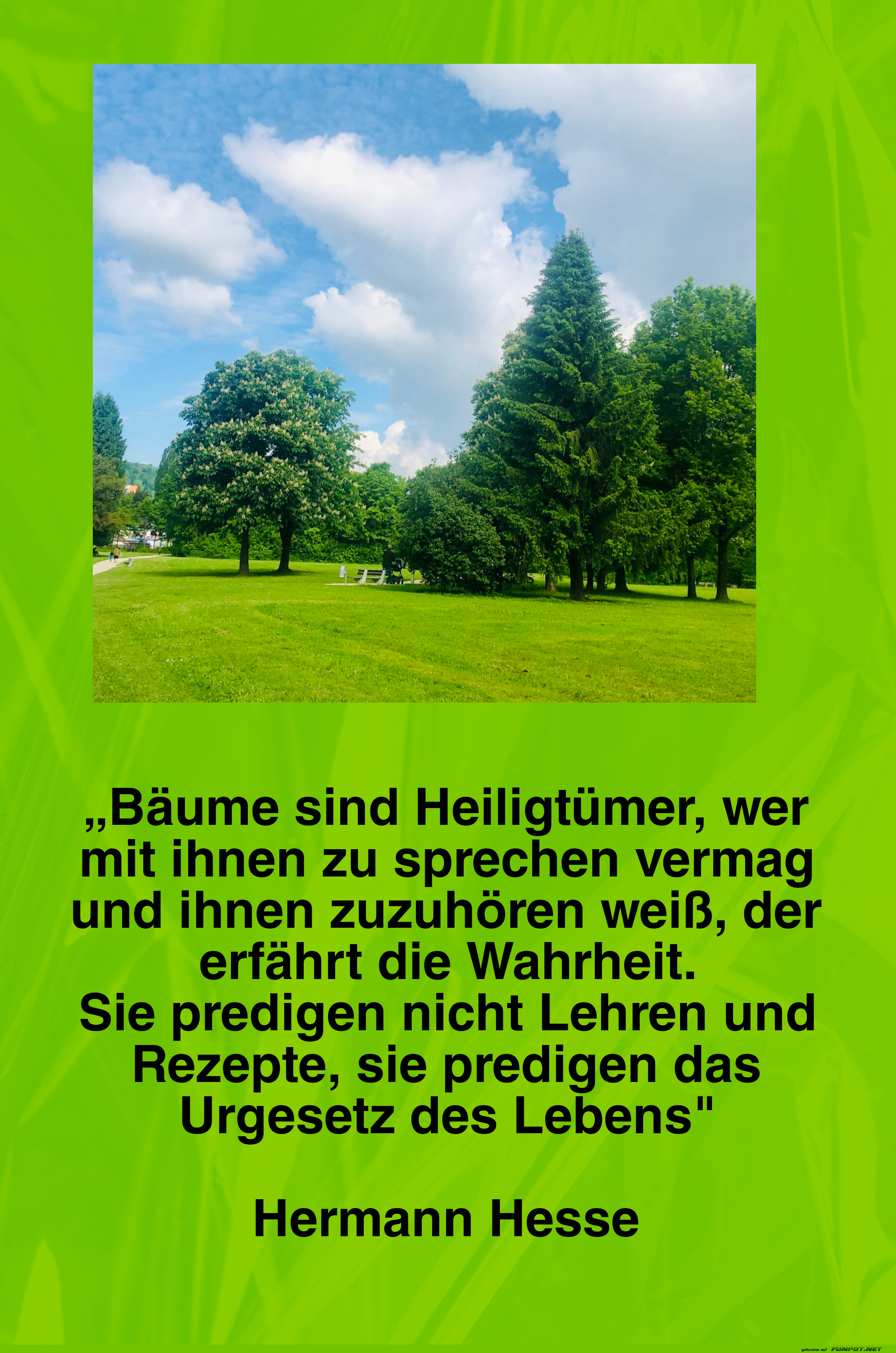 10 schne Sprche und Lebensweisheiten aus...