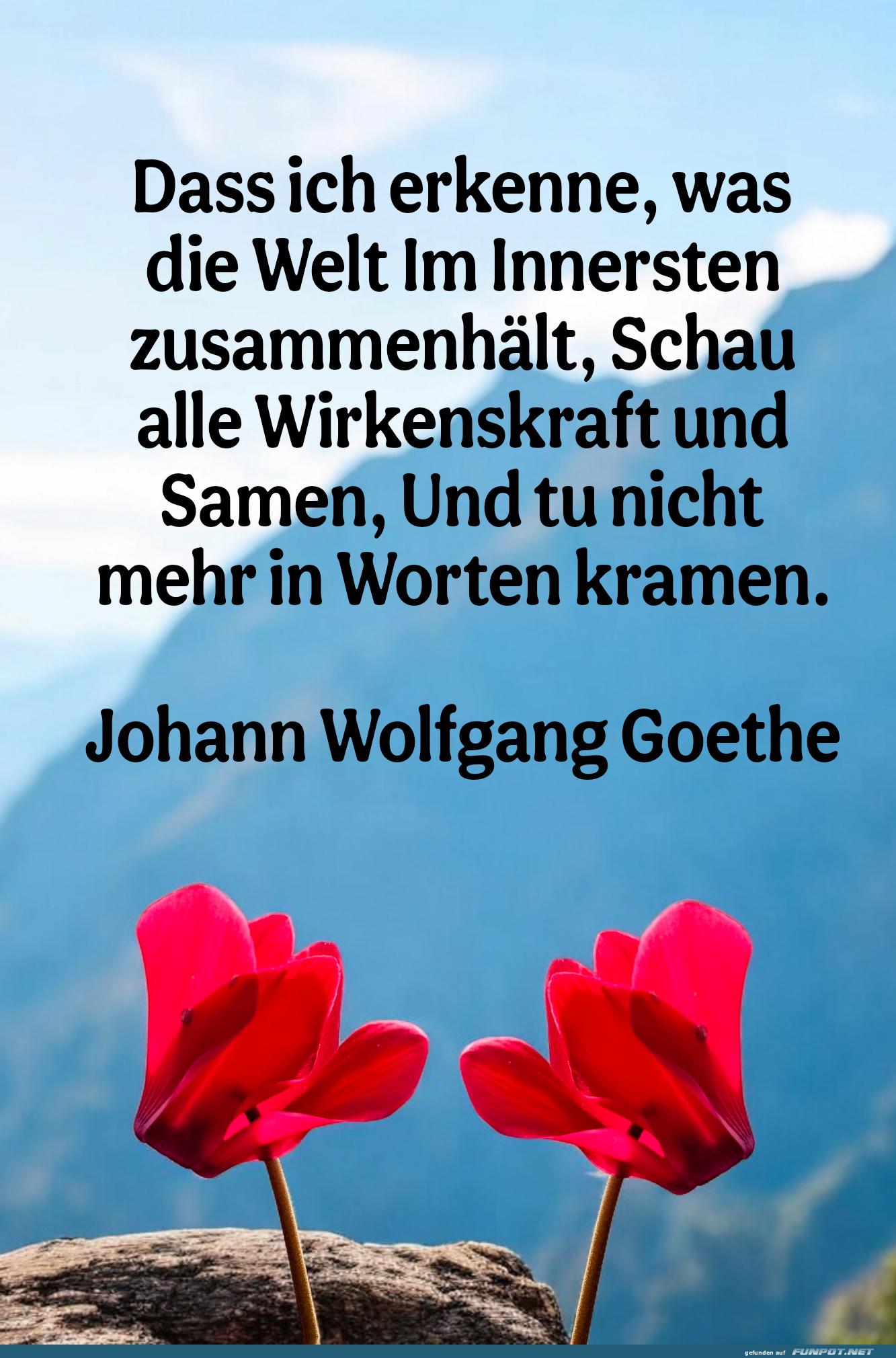 10 schne Sprche und Lebensweisheiten aus...