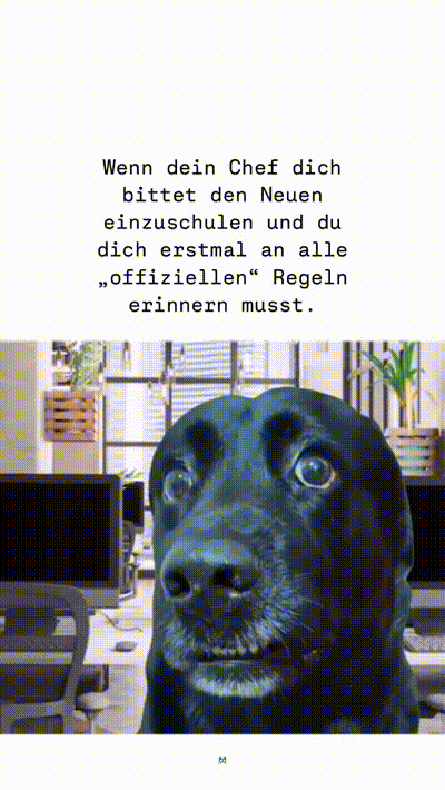 witzige animierte Bilder aus verschiedenen Blogs