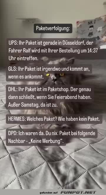 Die Paketverfolgung