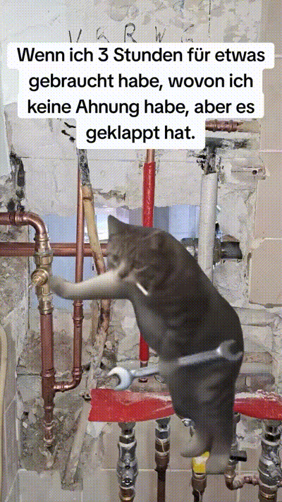 witzige animierte Bilder aus verschiedenen Blogs
