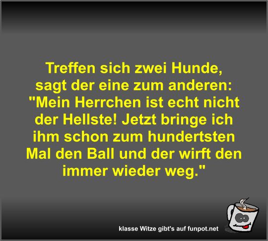 Treffen sich zwei Hunde Treffen sich zwei Hunde