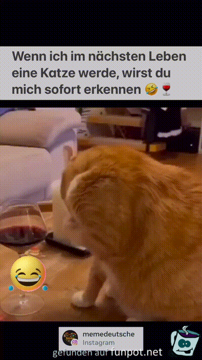 witzige animierte Bilder aus verschiedenen Blogs