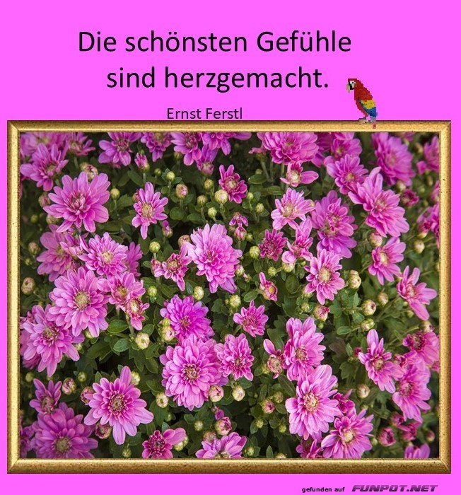 Die schnsten Gefhle