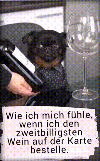 Mein Blick bei der Weinbestellung Mein Blick bei der Weinbestellung
