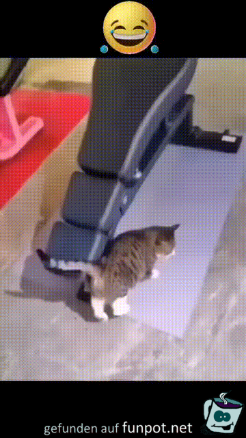 Erst mal Sport machen