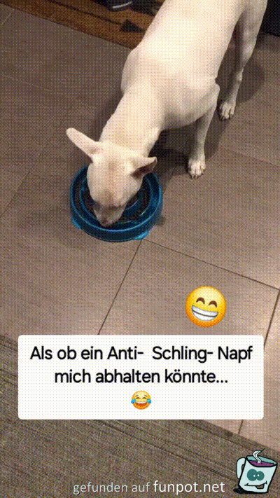 Was soll denn der Napf? Was soll denn der Napf?