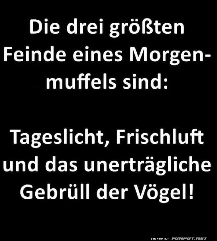 Die grten Feinde eines Morgenmuffels