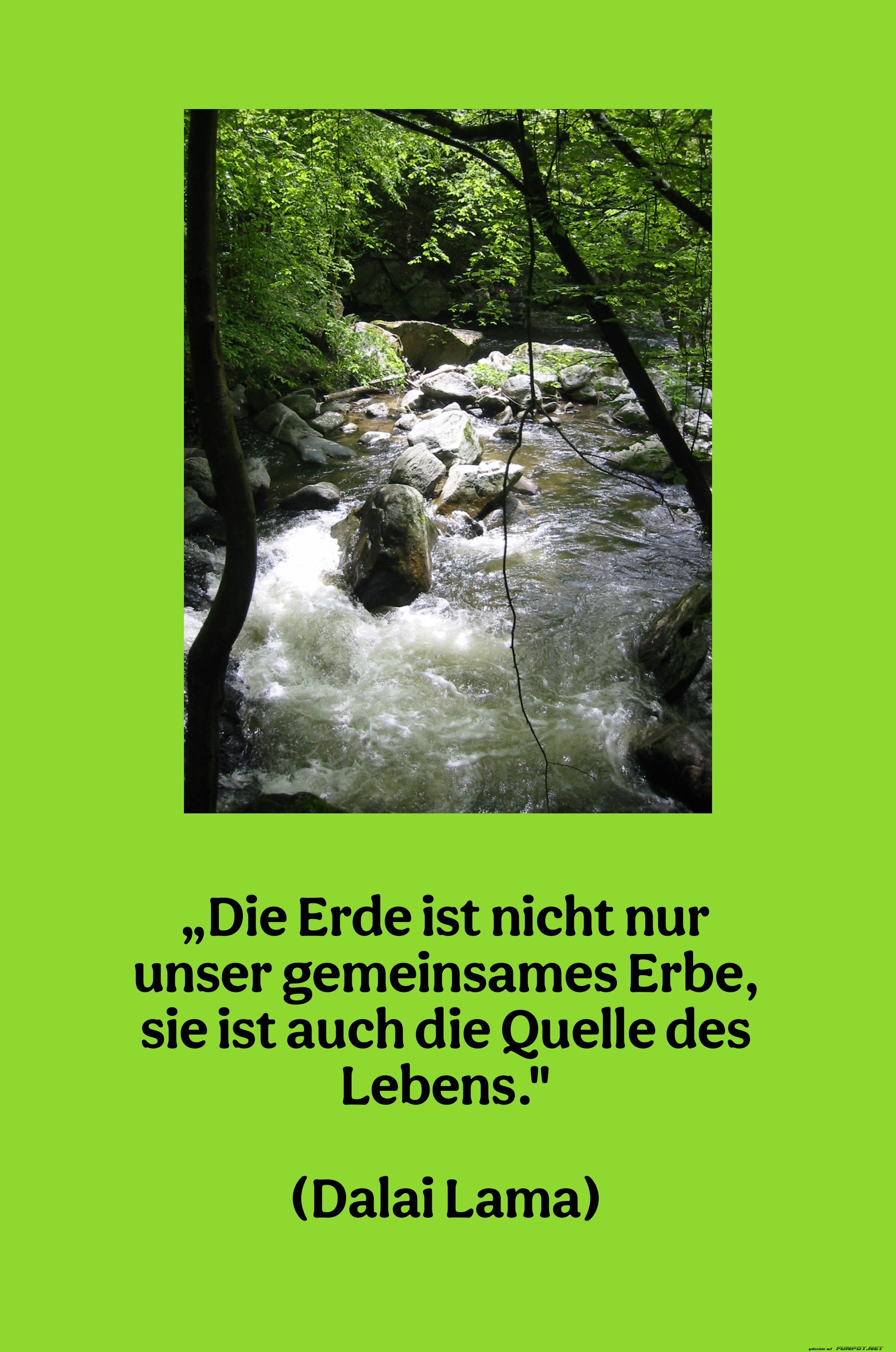 10 schne Sprche und Lebensweisheiten aus...