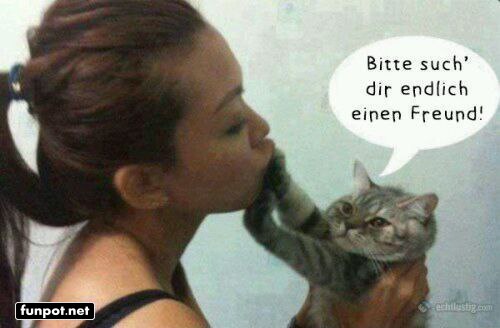 Katzenliebe mit humorvollem Twist Katzenliebe mit humorvollem Twist