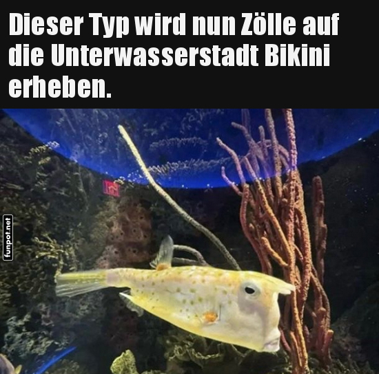 Fisch plant Einfuhrzlle fr Bikini Bottom