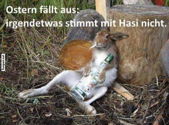 Ostern fllt aus: Hasi ist nicht bereit