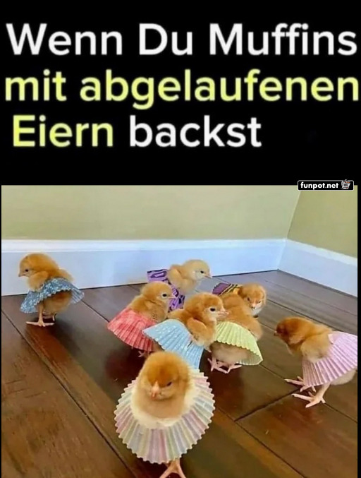 Lustige Kken in Muffinfrmchen