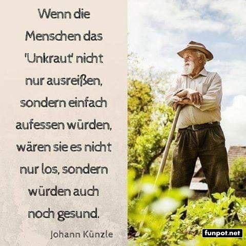Unkrautessen fr Gesundheit