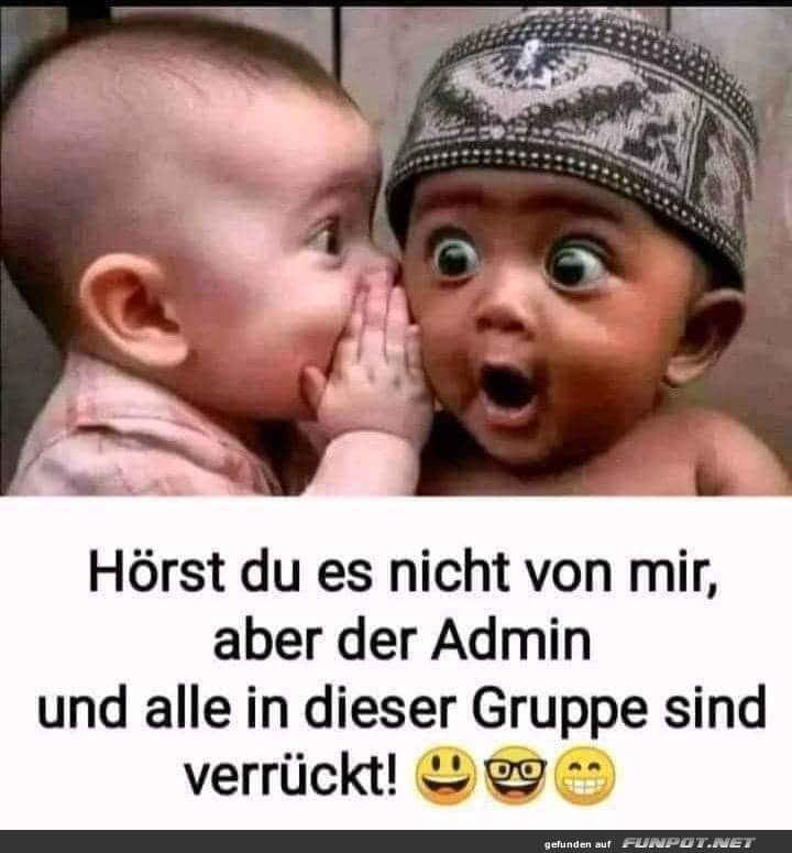 Lustige Babys im Geheimnisflstern