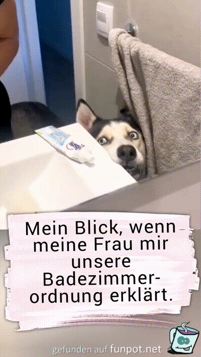 witzige animierte Bilder aus verschiedenen Blogs