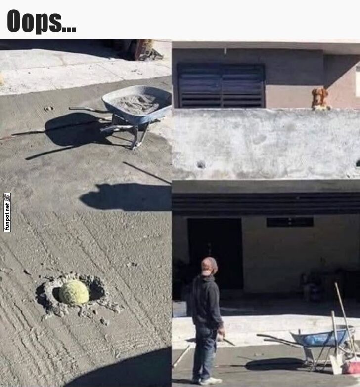 Hund macht Tennisballabdruck im frischen Beton