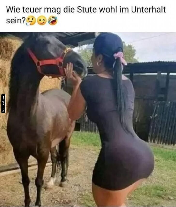 Lustiges Treffen zwischen Frau und Pferd