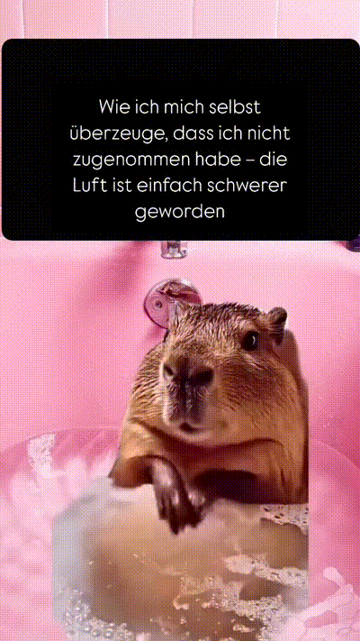 witzige animierte Bilder aus verschiedenen Blogs