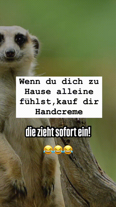 witzige animierte Bilder aus verschiedenen Blogs