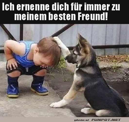Kleine Freunde fr immer vereint
