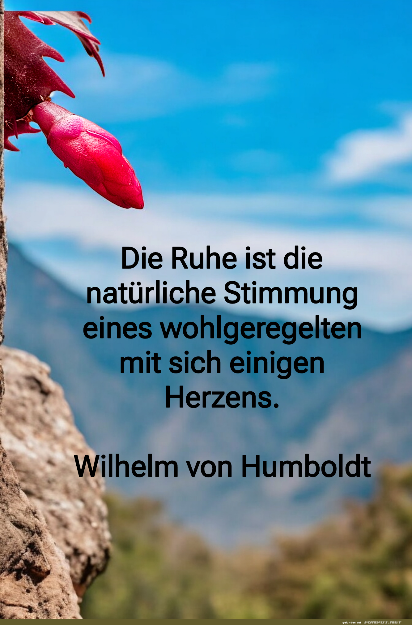 die ruhe ist die natrliche stimmung