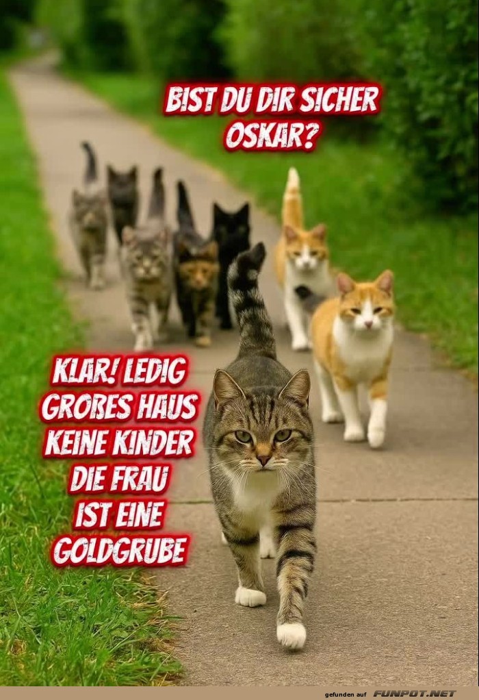 Bist du sicher?