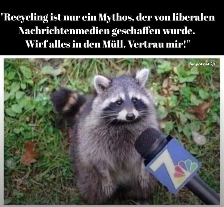 Waschbär gibt Recycling-Tipps Waschbär gibt Recycling-Tipps