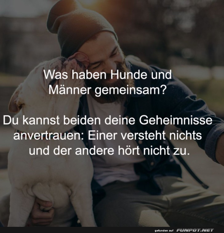 Lustiger Vergleich zwischen Hunden und Mnner