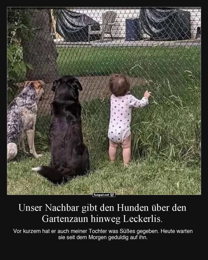 Kind und Hunde warten am Gartenzaun
