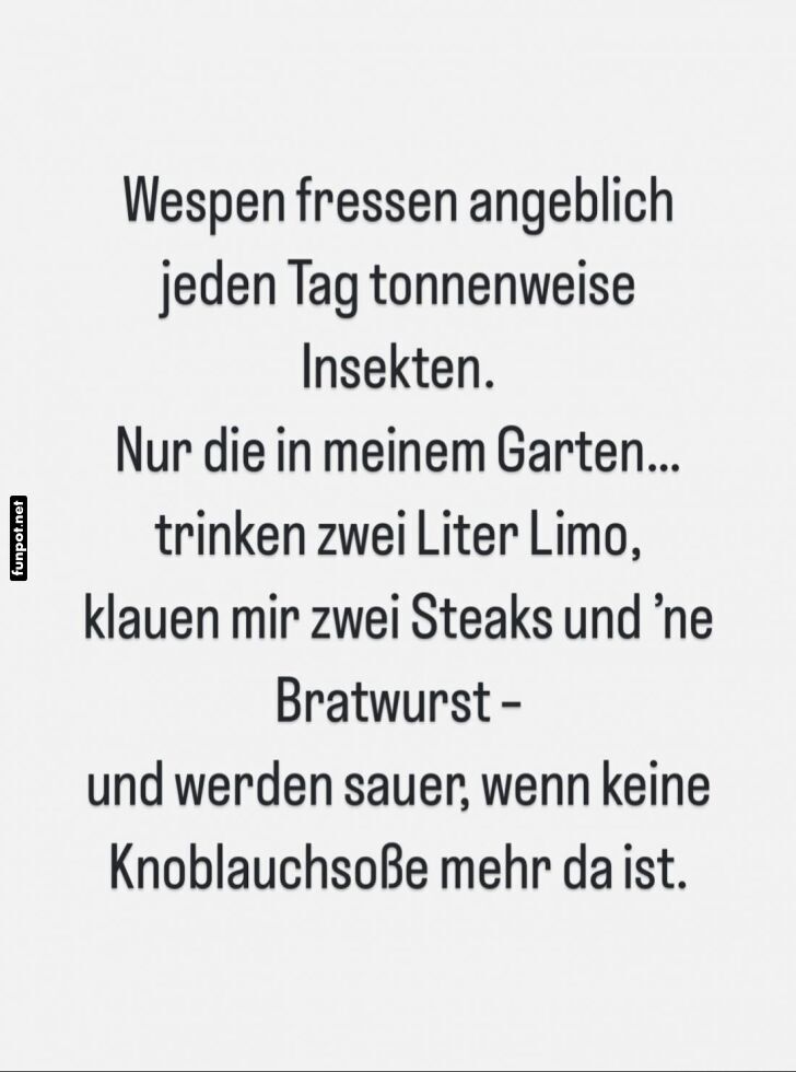 Witz ber Wespen und Gartenverhalten